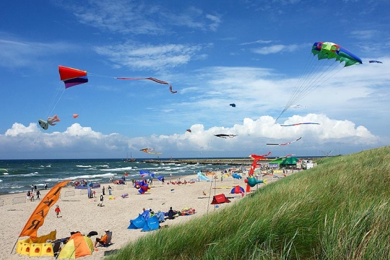Latawce na plaży