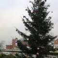 Darłowo w liczbach