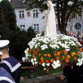 Niedźwiedź morski w Darłowie
