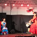 Flamenco na darłowskiej plaży 